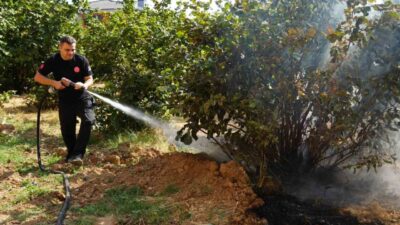 Düzce Belediyesi İtfaiye Müdürlüğü, son üç ayda 300 anız yangınına