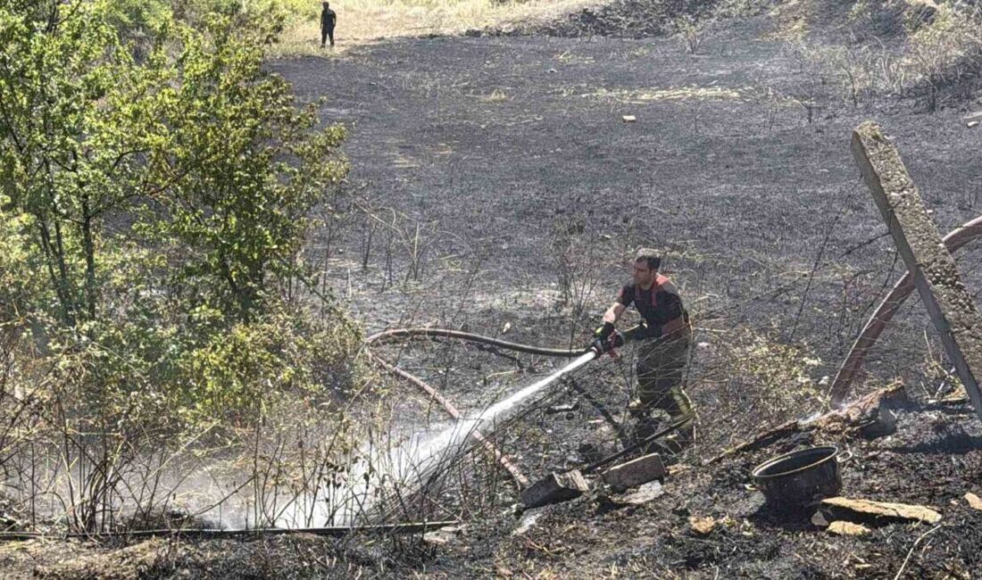 Düzce’de Konuralp Orhangazi Mahallesi’nde meydana gelen yangın, 500. Cadde üzerinde