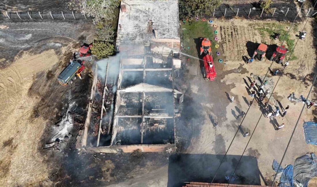 Edirne’nin Havsa ilçesine bağlı Osmanlı köyünde meydana gelen yangın sonucunda