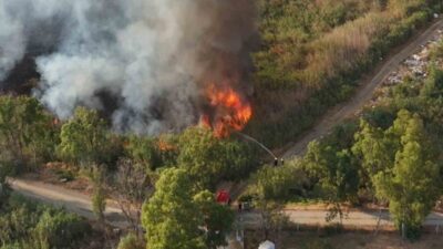 Balıkesir’in Edremit ilçesinde meydana gelen sazlık alandaki yangın, itfaiye ve