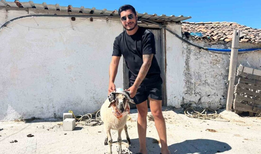 İzmir’in Çeşme ilçesinde oto galerici olarak faaliyet gösteren Ferhat Altundağ,