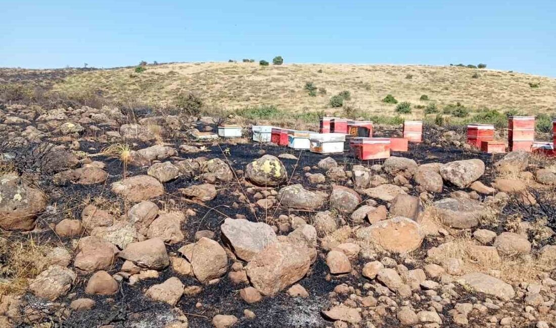 Elazığ’ın Sarıcan beldesine bağlı Karakoçan ilçesinde meydana gelen arazi yangınında