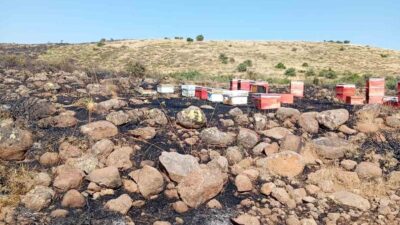 Elazığ’ın Sarıcan beldesine bağlı Karakoçan ilçesinde meydana gelen arazi yangınında