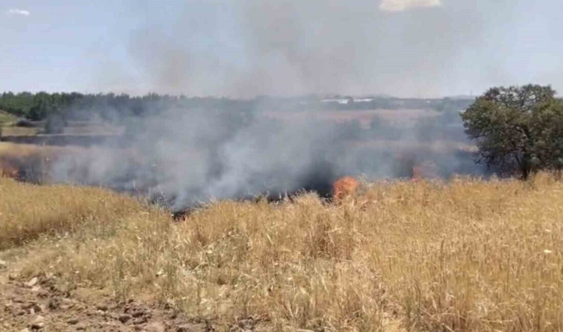 Elazığ merkeze bağlı Poyraz köyü yakınlarında çıkan yangın, itfaiye ve