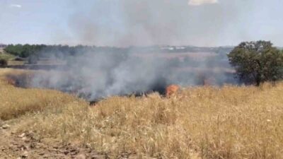 Elazığ merkeze bağlı Poyraz köyü yakınlarında çıkan yangın, itfaiye ve