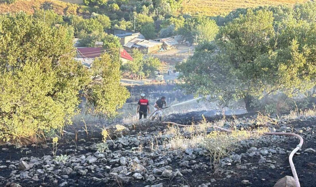 Elazığ’ın Karakoçan ilçesine bağlı Akbulak köyünde, bilinmeyen bir nedenden dolayı