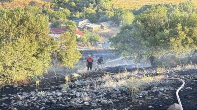 Elazığ’ın Karakoçan ilçesine bağlı Akbulak köyünde, bilinmeyen bir nedenden dolayı
