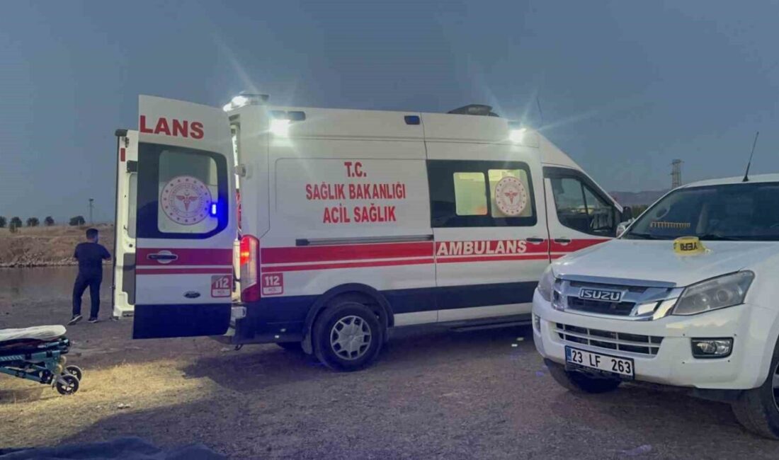 Elazığ’ın Kovancılar ilçesinde, bir baba, oğlu ve bir başka kişi