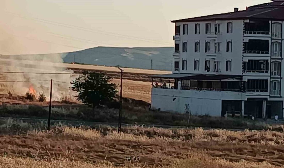 Palu ilçesindeki bir tarlada çıkan yangın, ekiplerin zamanında müdahalesi ile