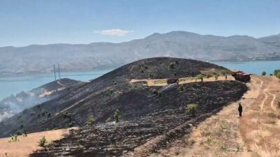 Elazığ’ın Sivrice ilçesinde bir arazide çıkan yangın, başarılı bir şekilde