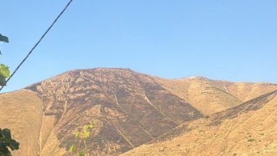 Keban ilçesindeki dağlık alanda çıkan yangın, orman işçilerinin fedakar çalışmaları