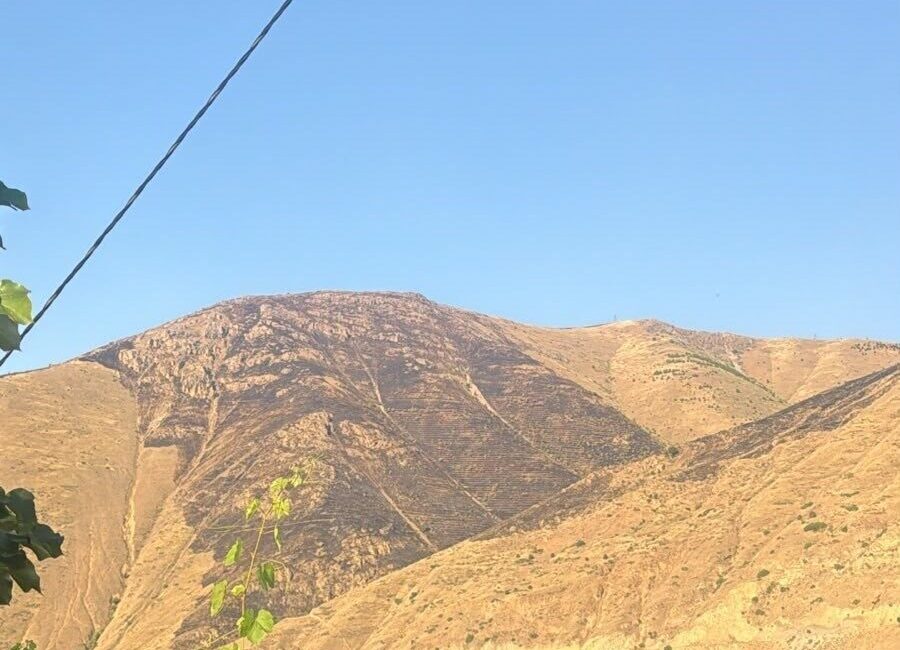Keban ilçesindeki dağlık alanda çıkan yangın, orman işçilerinin fedakar çalışmaları
