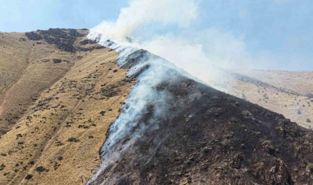 Keban ilçesinde, yaklaşık 100 dönümlük arazinin zarar gördüğü yangında 1