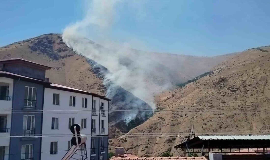 Elazığ’da dağlık bir alanda devam eden yangına ekipler müdahale ediyor.
