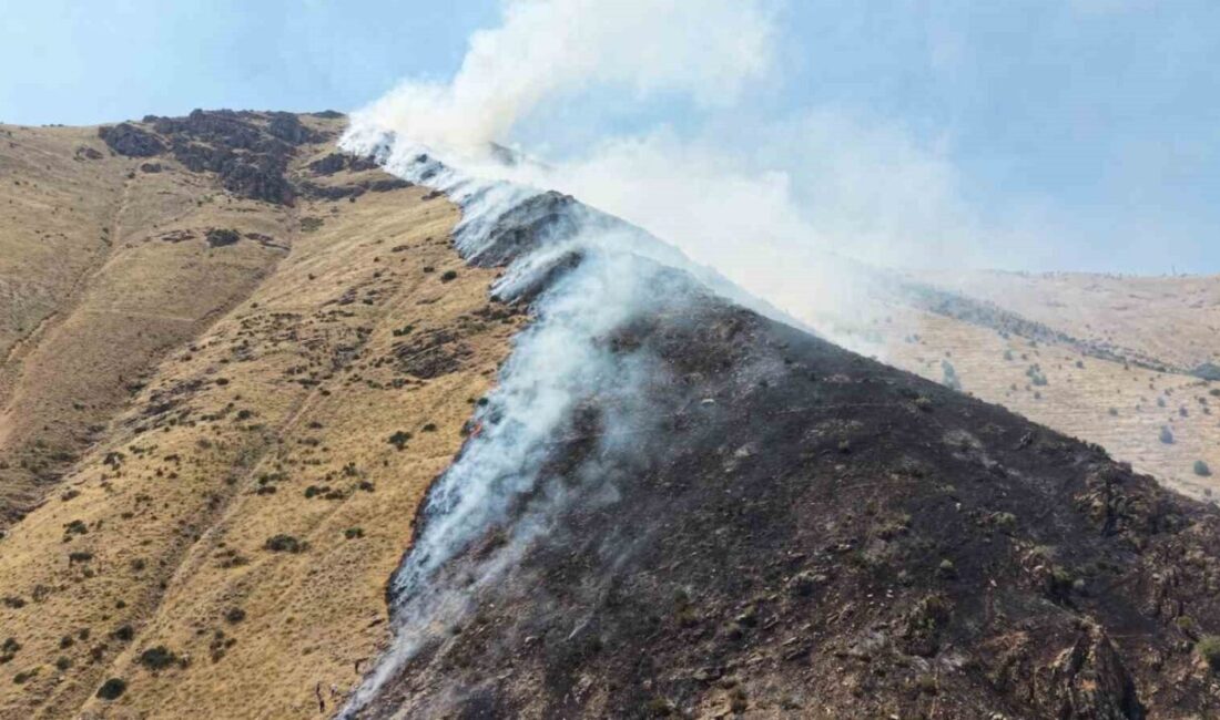 Elazığ’da dağlık alanda çıkan ve hızla yayılan yangına ekiplerin müdahalesi