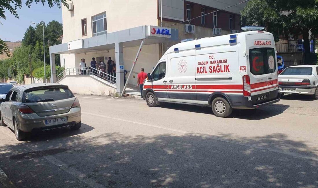Elazığ’ın Palu ilçesinde meydana gelen olayda, 2 yaşındaki Emre Özdemir