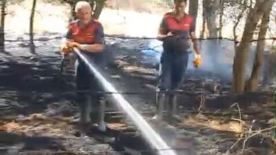 Karakoçan ilçesine bağlı Yenice Köyü’nde meydana gelen örtü yangını, itfaiye