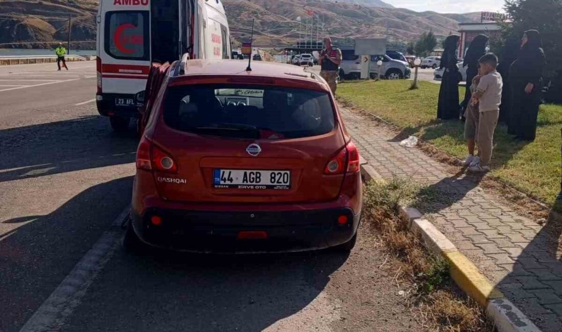 Elazığ’da meydana gelen trafik kazasında 7 kişi yaralandı. Kaza, Elazığ-Bingöl