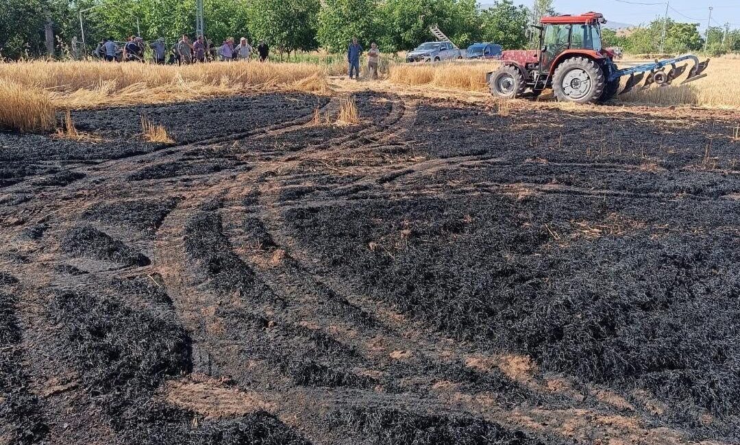 Elazığ’ın Yurtbaşı beldesinde, bilinmeyen bir nedenle ekili tarlada çıkan yangın,