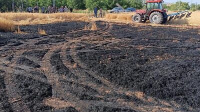 Elazığ’ın Yurtbaşı beldesinde, bilinmeyen bir nedenle ekili tarlada çıkan yangın,