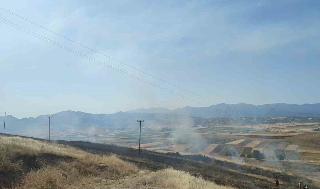 Elazığ’ın Karakoçan ilçesinde meydana gelen yangında 40 dönüm arpa tarlası