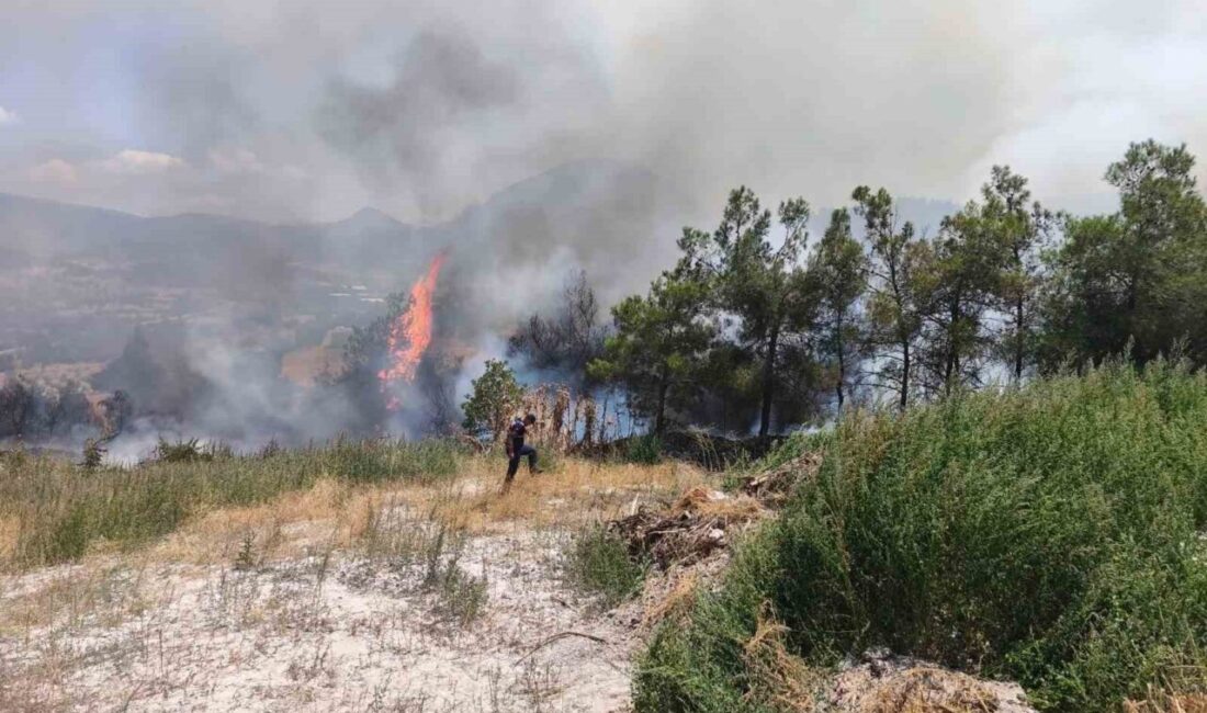 Bilecik’te meydana gelen yangın paniğe neden oldu. Olay, Bilecik’in Vezirhan