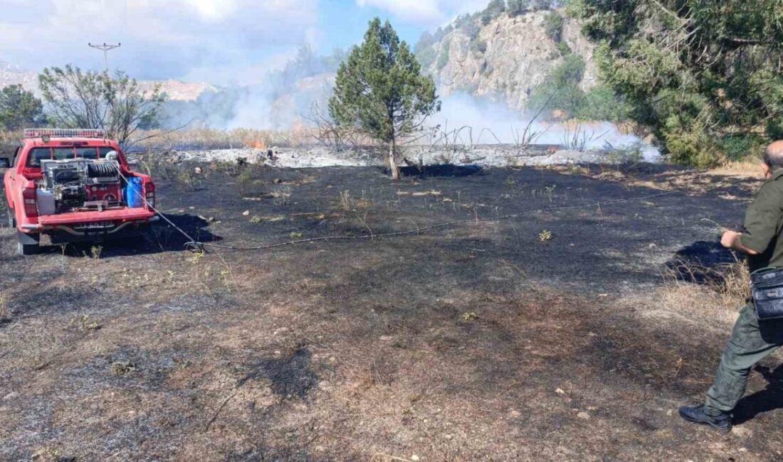 Bilecik’te Selbükü köyü yakınlarında meydana gelen yangın, yaklaşık 3 dönümlük