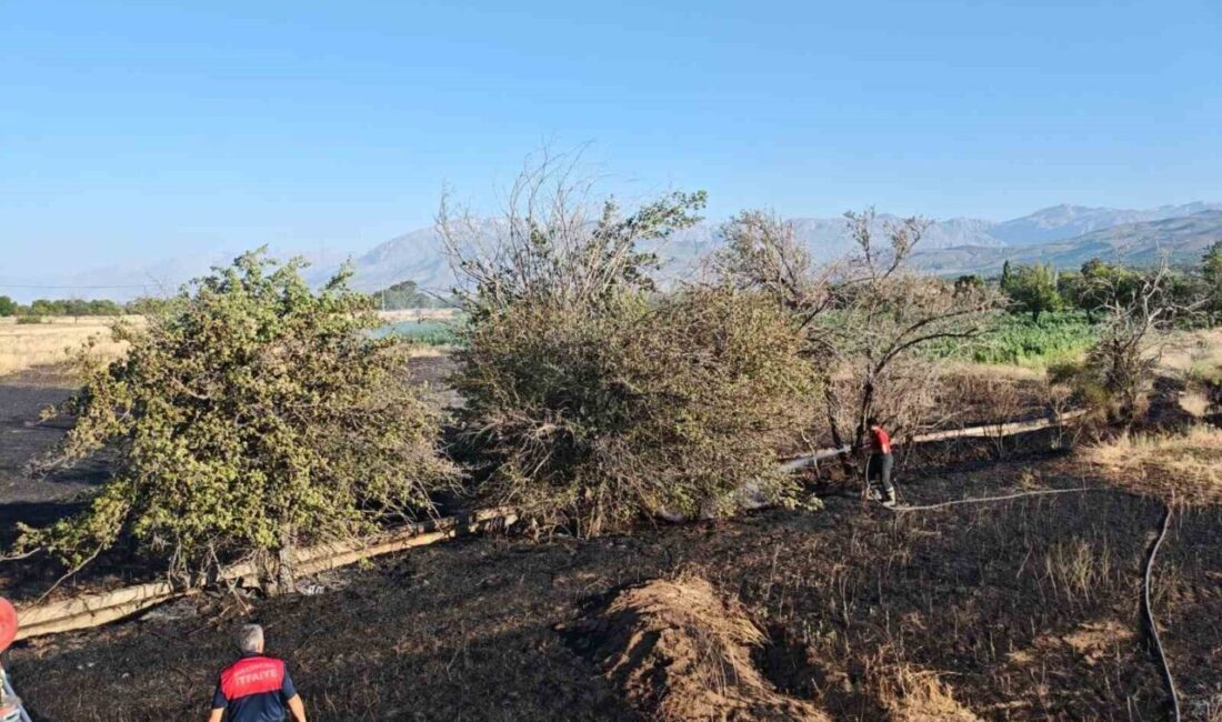 Erzincan’ın Elmaköy köyü girişinde meydana gelen tarla yangını, itfaiye ekiplerinin