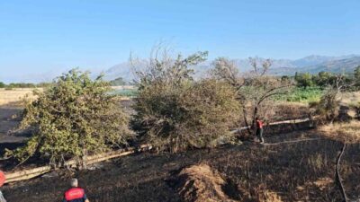 Erzincan’ın Elmaköy köyü girişinde meydana gelen tarla yangını, itfaiye ekiplerinin
