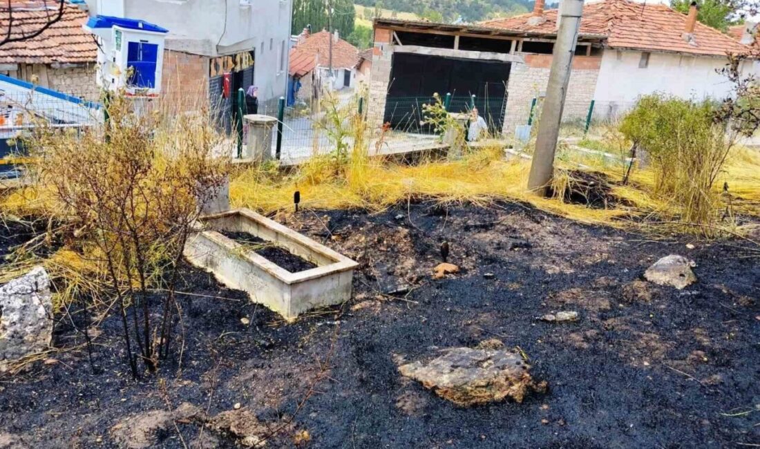 Emet ilçesine bağlı Kütahya’daki bir mezarlıkta meydana gelen yangında, 10