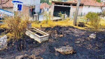 Emet ilçesine bağlı Kütahya’daki bir mezarlıkta meydana gelen yangında, 10