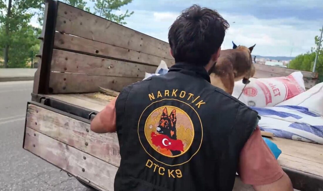 Kastamonu’nun Taşköprü ilçesinde polis ekipleri tarafından gerçekleştirilen denetimde toplam 414