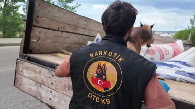 Kastamonu’nun Taşköprü ilçesinde polis ekipleri tarafından gerçekleştirilen denetimde toplam 414