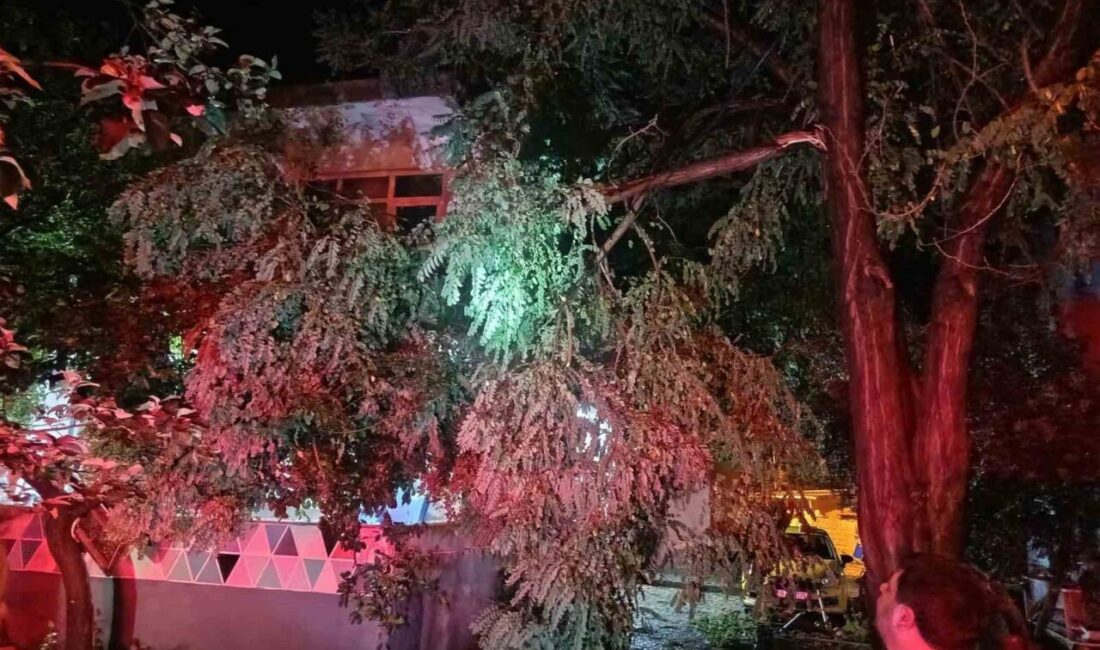 Marmara Denizi üzerindeki güçlü süper hücre fırtınası, Erdek ilçesi ve