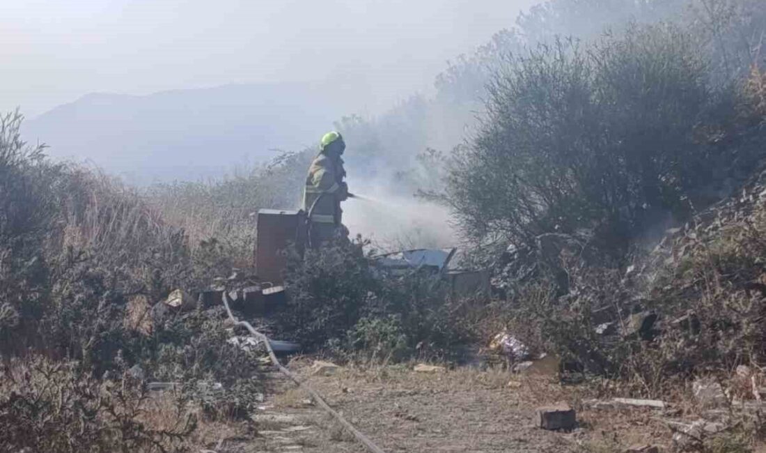 Balıkesir’in Erdek ilçesinde mezarlık yakınlarında çıkan ot yangını, itfaiye ekiplerinin