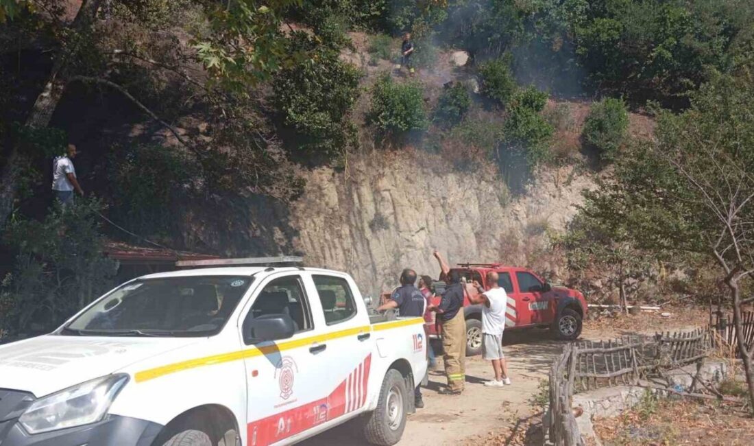 Balıkesir’in Erdek ilçesindeki ormanlık alanda çıkan yangın, itfaiye ve orman