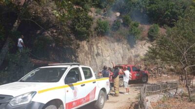 Balıkesir’in Erdek ilçesindeki ormanlık alanda çıkan yangın, itfaiye ve orman
