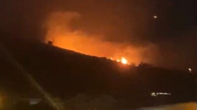 Erdek ilçesinde, Atatürk Mahallesi Sığır Yolu Sokak’ta bulunan Tek Ağaç