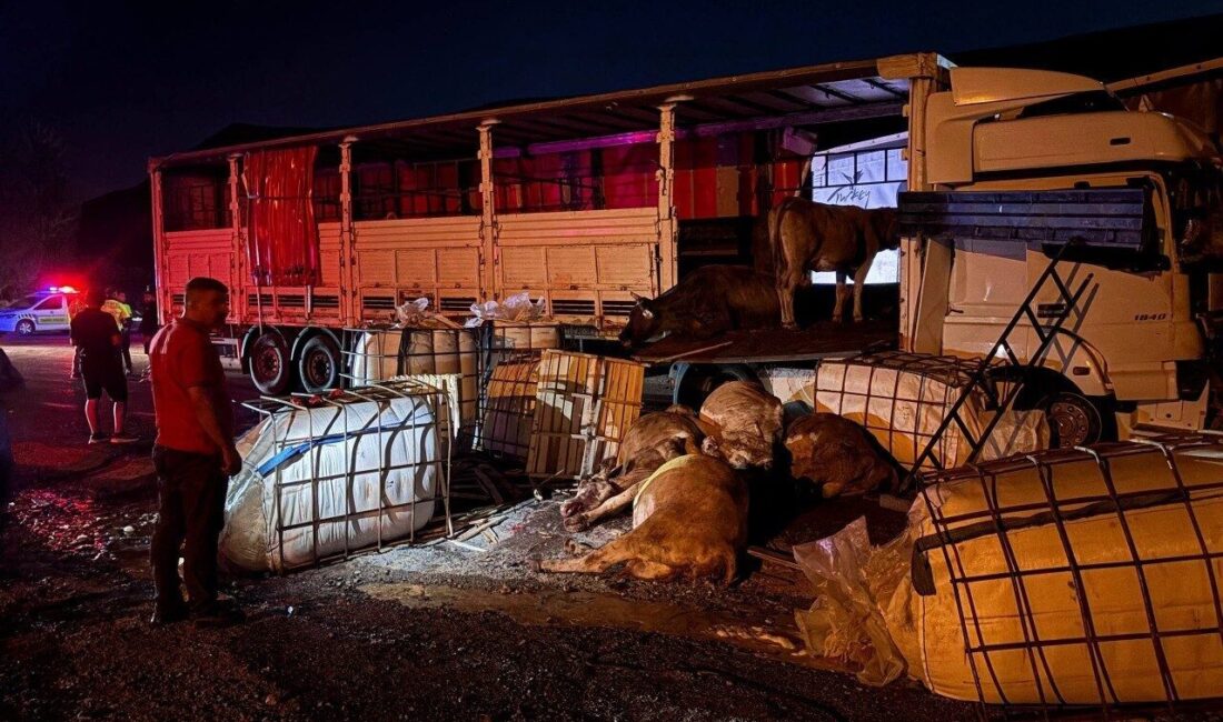 Erzincan-Sivas karayolunda Koçyatağı mevkiinde meydana gelen trafik kazasında, iki tırın