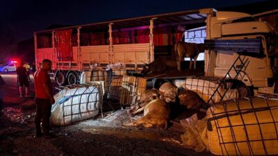 Erzincan-Sivas karayolunda Koçyatağı mevkiinde meydana gelen trafik kazasında, iki tırın