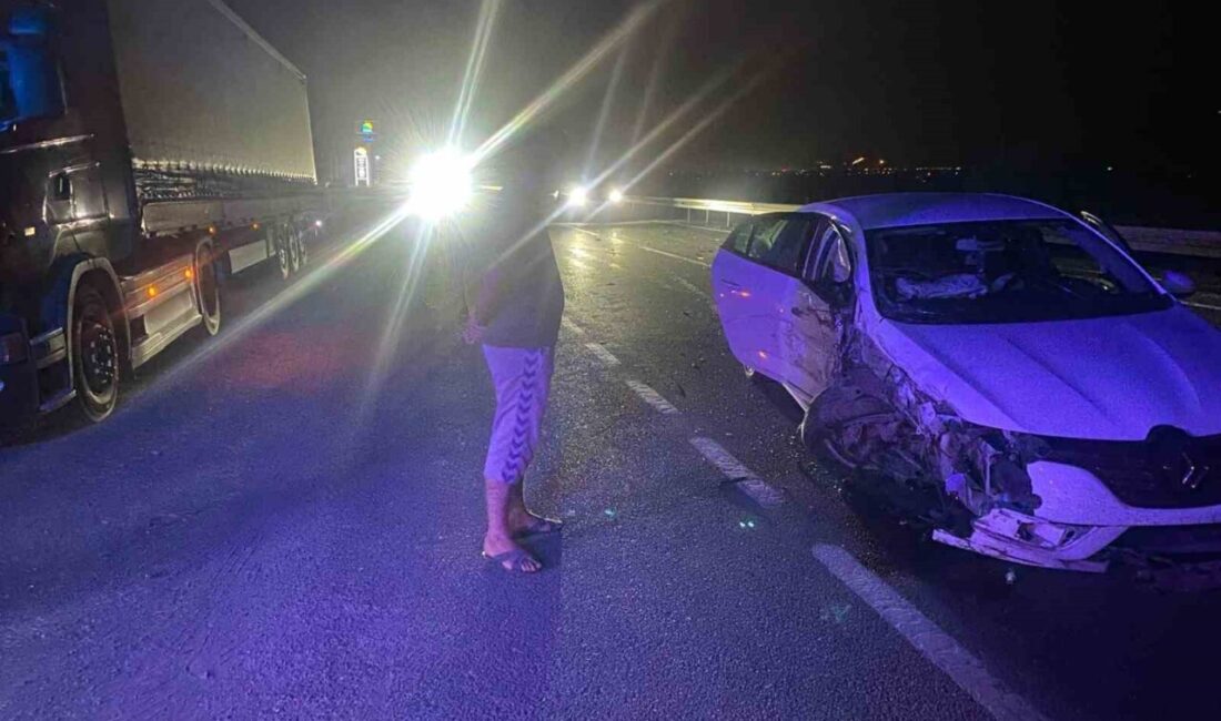 Erzincan-Erzurum karayolunda meydana gelen trafik kazasında bir tır ile bir