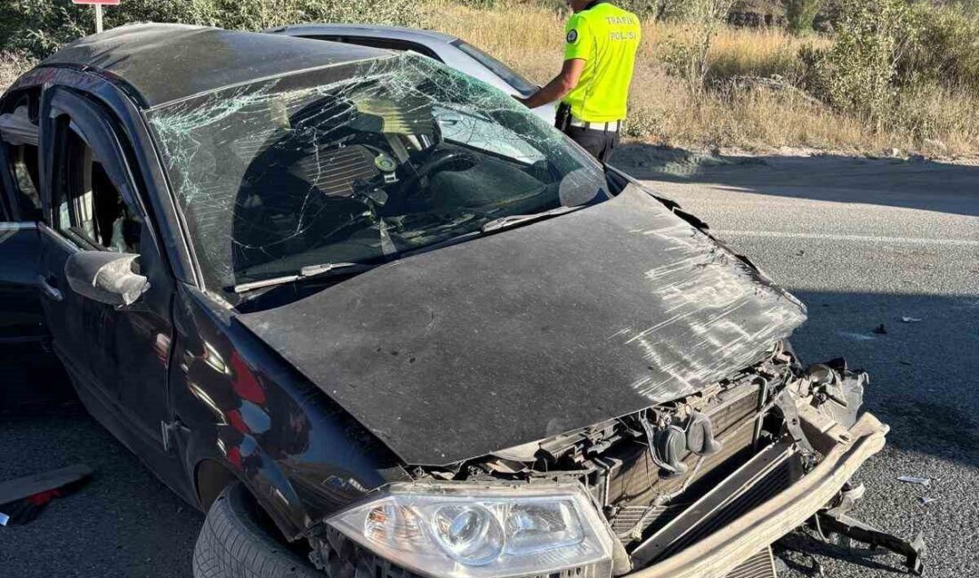 Erzincan-Sivas yolunda, Sakaltutan mevkisinde meydana gelen bir trafik kazasında 3