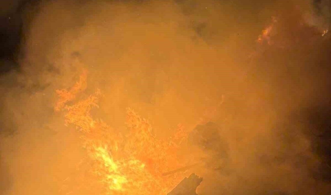 Erzin ilçesinde çöplük alanında meydana gelen yangın, Hatay Büyükşehir Belediyesi