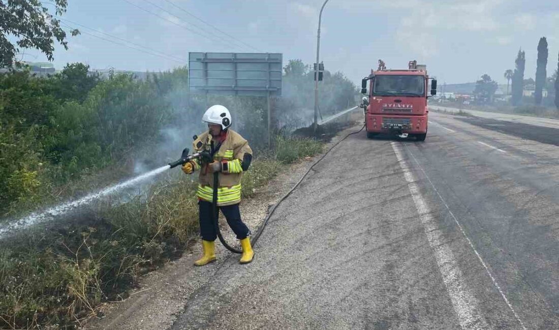 Hatay’ın Erzin ilçesinde Hürriyet Mahallesi’nde meydana gelen otluk alandaki yangın,