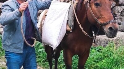 Erzurum’un İspir ilçesinde psikiyatrik tedavi gören 55 yaşındaki bir adam,