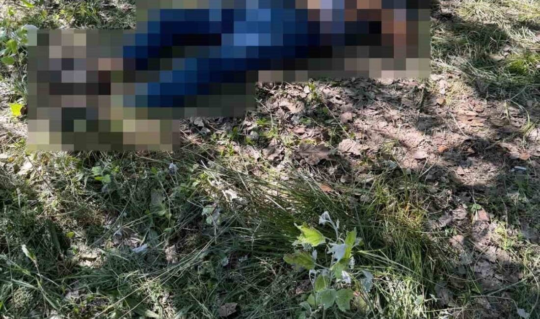 Eskişehir’de ağaçlık bir alanda ölü bulunan bir kişinin ölümü şüpheli