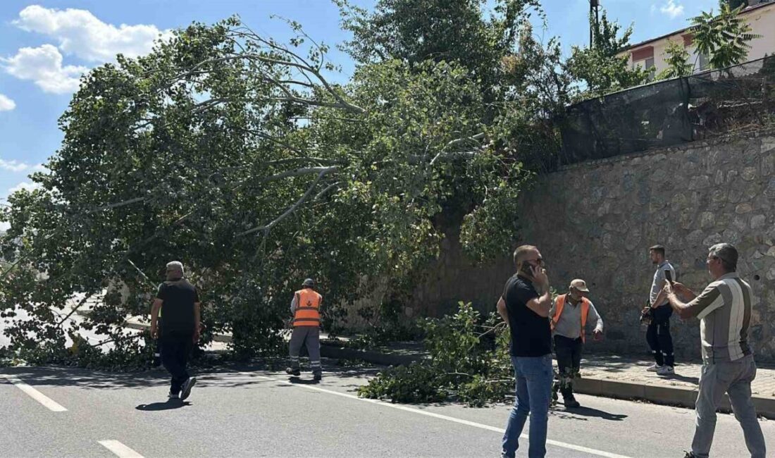 Eskişehir’de, nedeni henüz belirlenemeyen bir şekilde devrilen ve kara yolunun