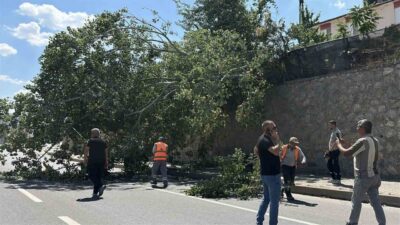 Eskişehir’de, nedeni henüz belirlenemeyen bir şekilde devrilen ve kara yolunun