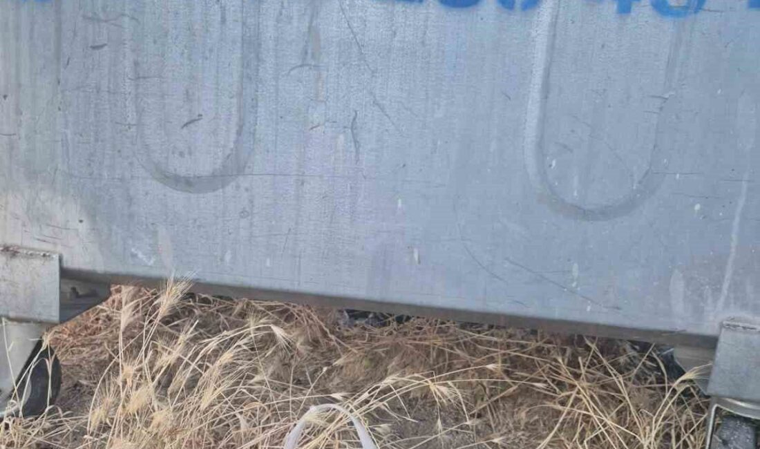 Eskişehir’de bir yavru kedinin, ağzı bantlanmış halde bir poşetin içine