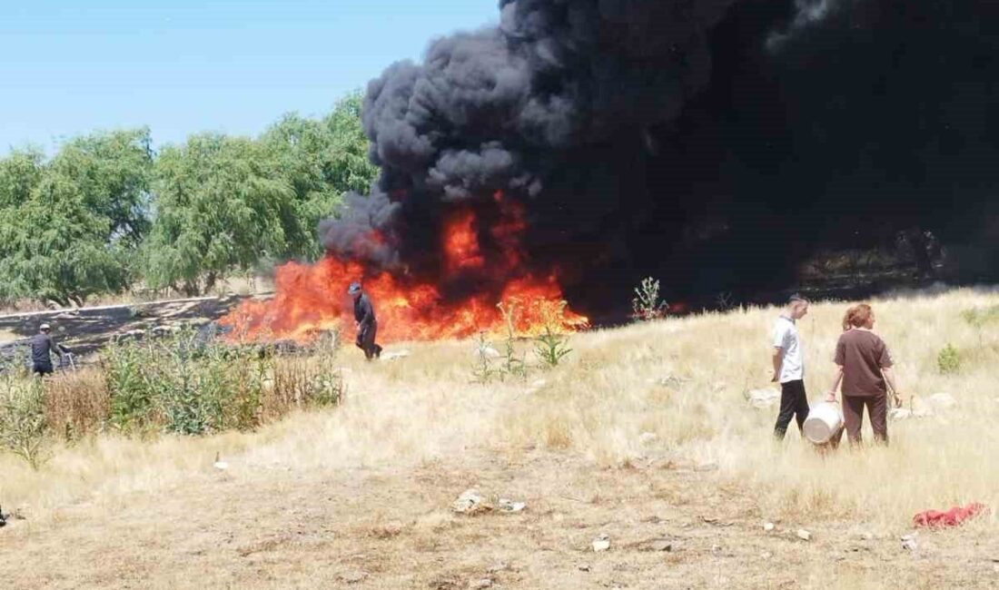 Eskişehir’de, sigara izmariti atılması sonucu çıkan ve tarımsal sulama borularını